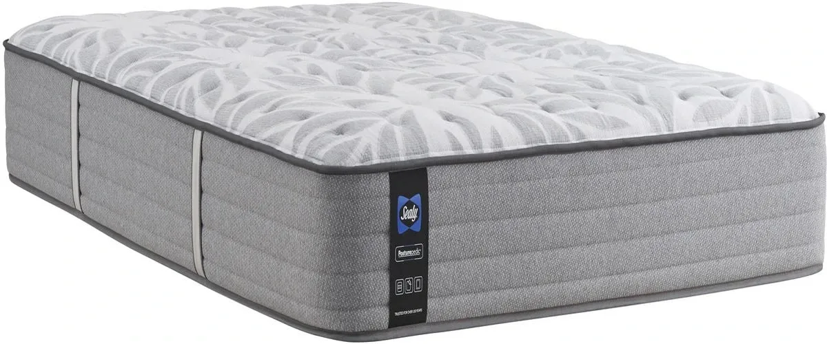 Firm Mattress by Sealy