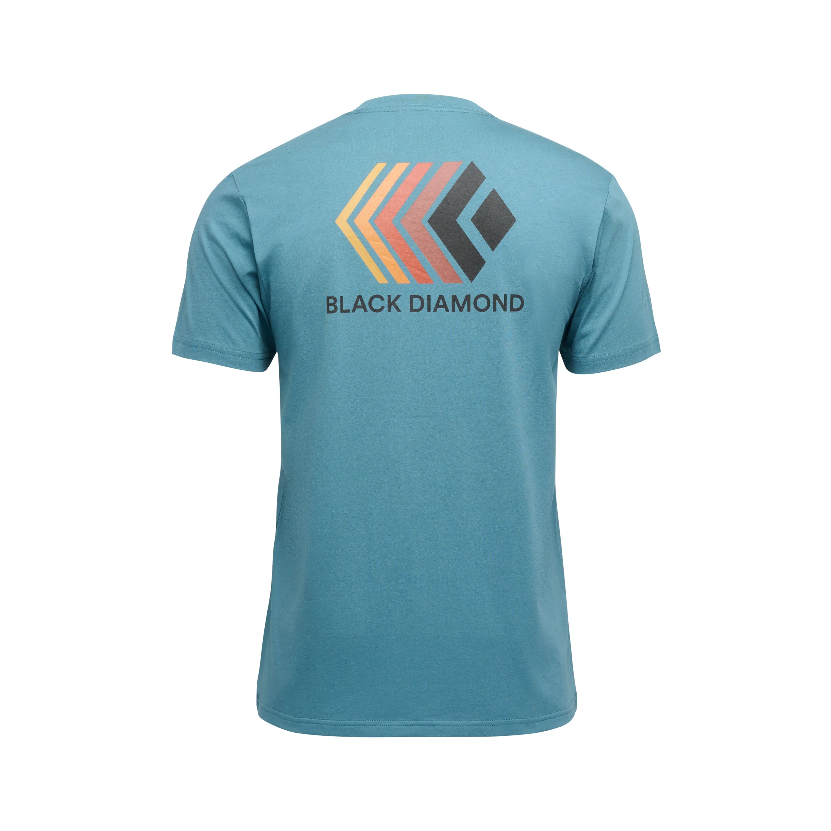 Men's Faded Tee