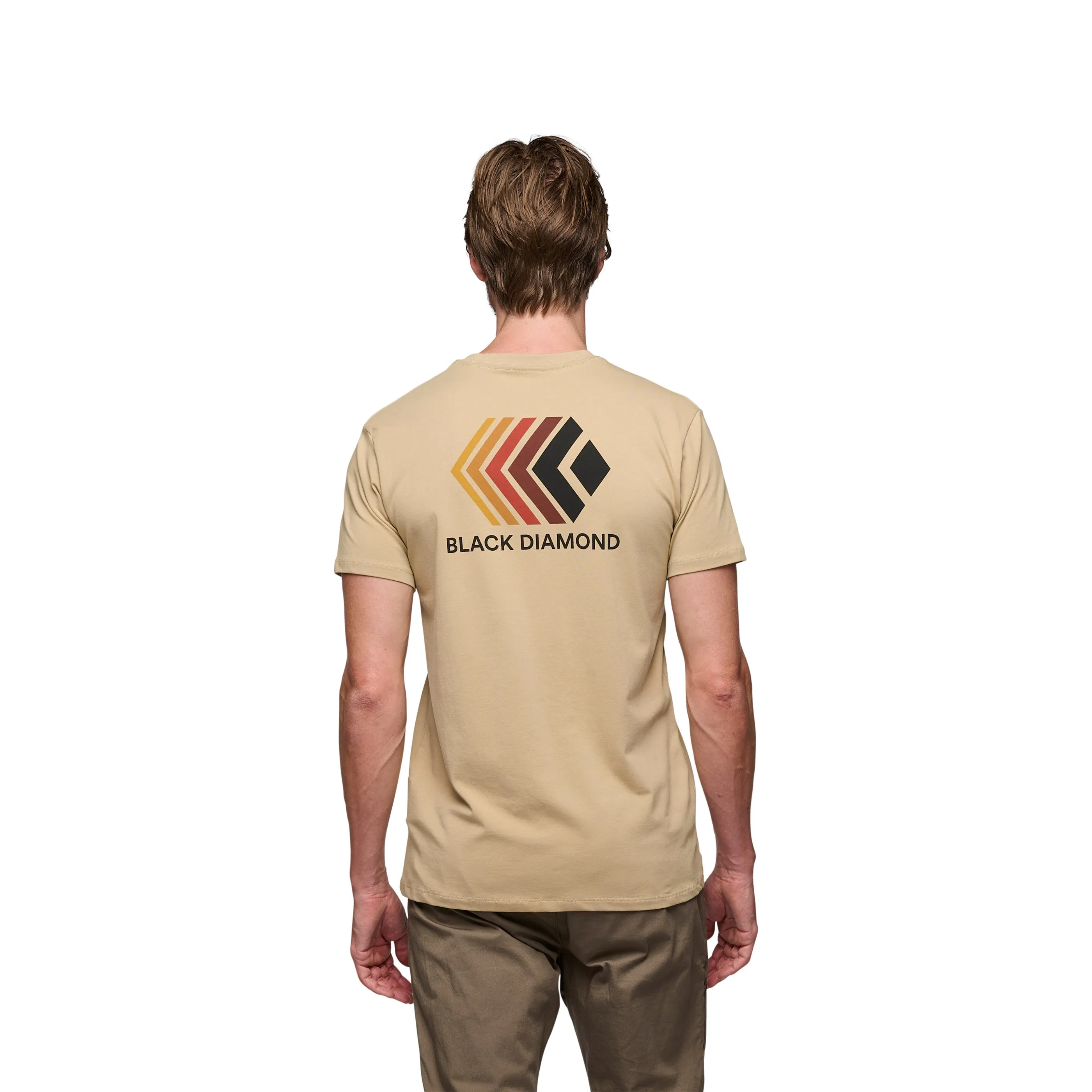 Men's Faded Tee