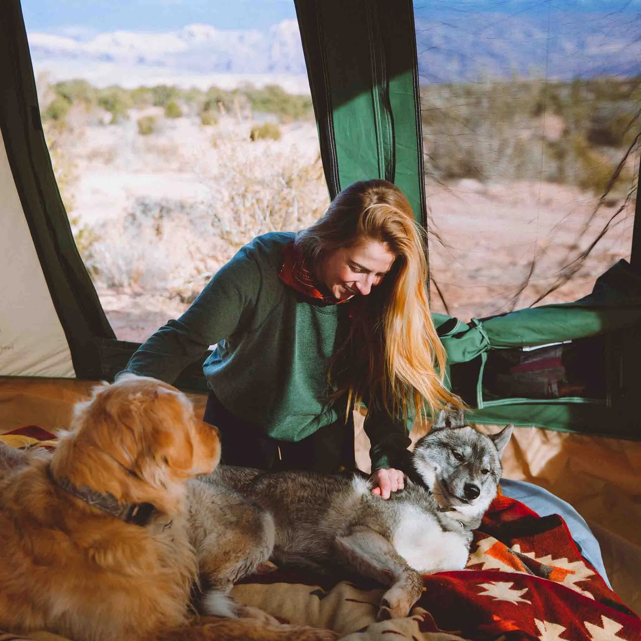 Prota Canvas Tent 10'x10'