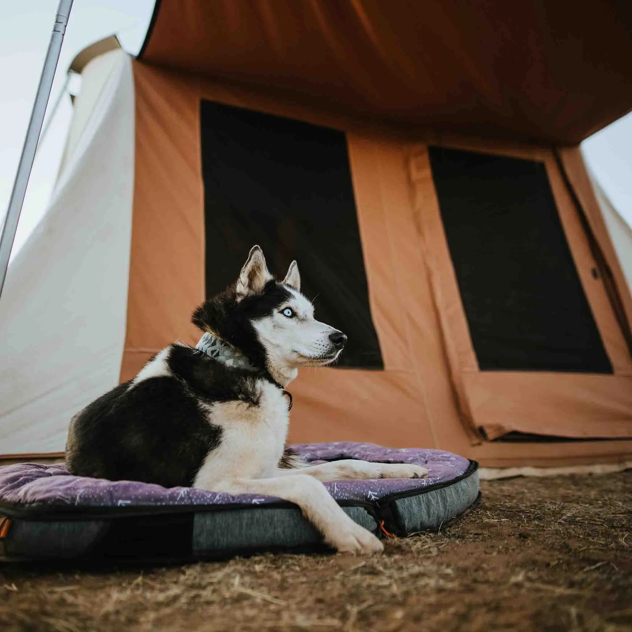 Prota Canvas Tent 10'x10'