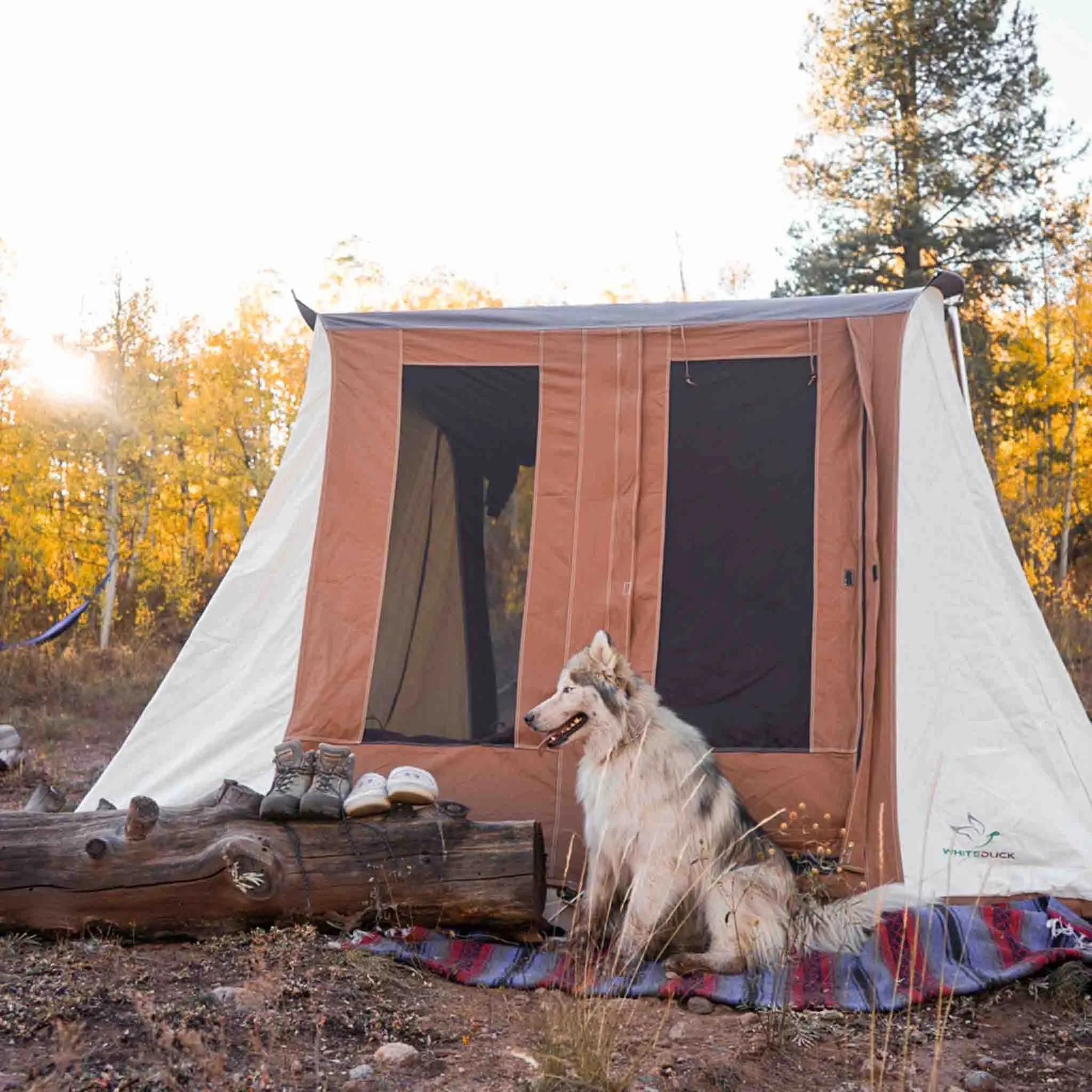 Prota Canvas Tent 10'x10'