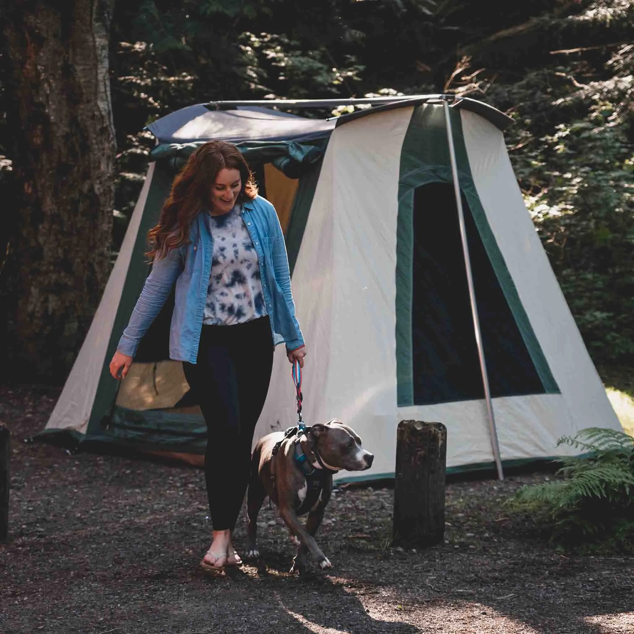 Prota Canvas Tent Deluxe 10'x14'