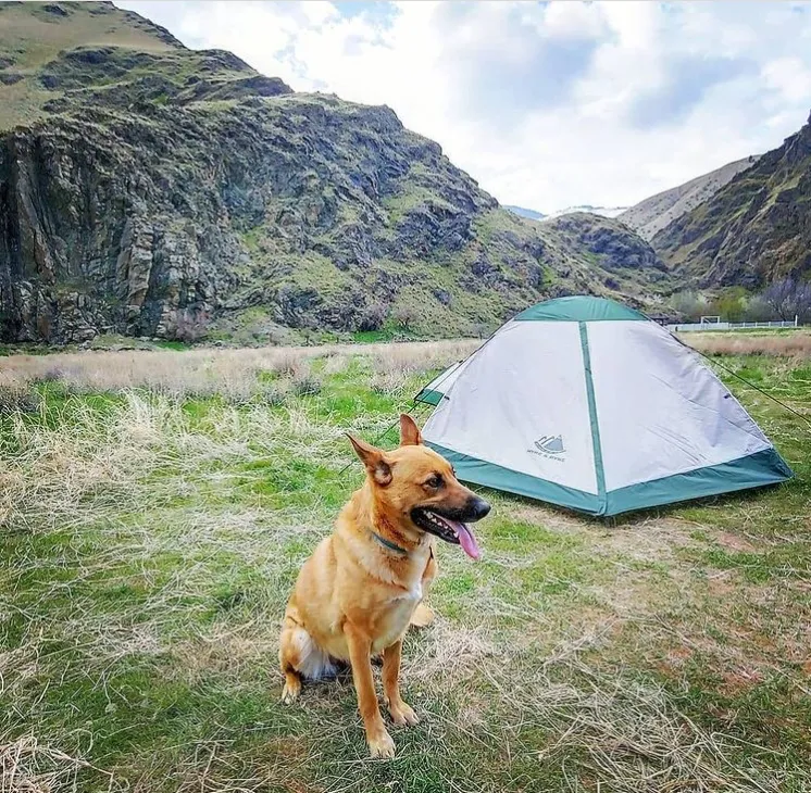 Yosemite 2 Person Backpacking Tent with Footprint