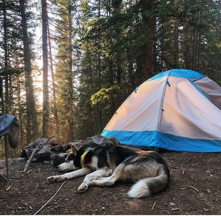 Yosemite 2 Person Backpacking Tent with Footprint